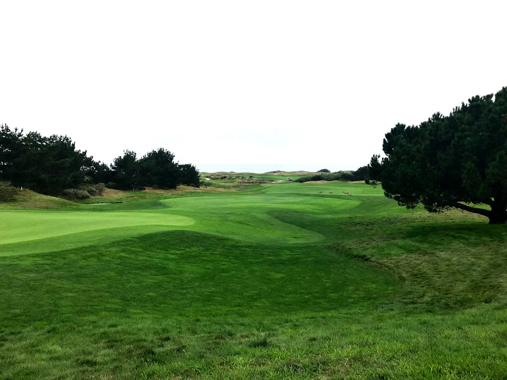 Spanish Bay Golf Course Review, Background, Info and Experience